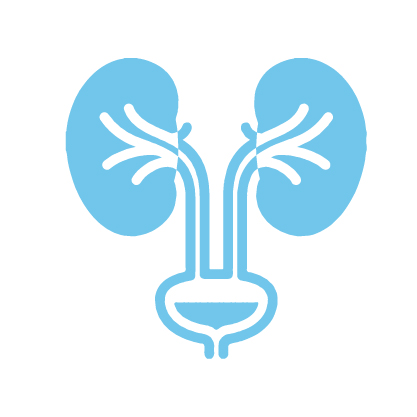 Urology and Nephrology